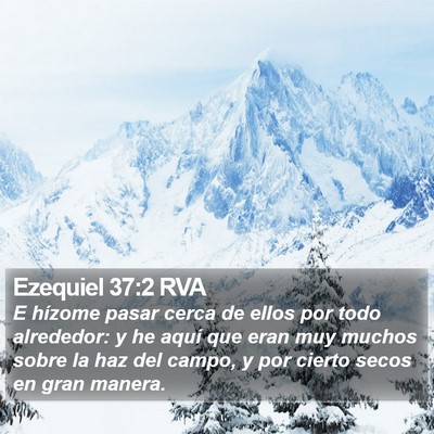 Ezequiel 37:2 RVA Bible Verse Image