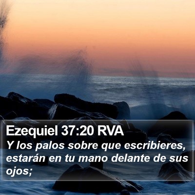 Ezequiel 37:20 RVA Bible Verse Image