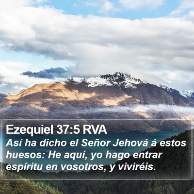 Ezequiel 37:5 RVA Bible Verse Image