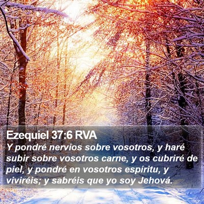 Ezequiel 37:6 RVA Bible Verse Image