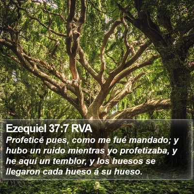 Ezequiel 37:7 RVA Bible Verse Image