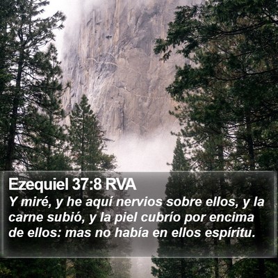 Ezequiel 37:8 RVA Bible Verse Image
