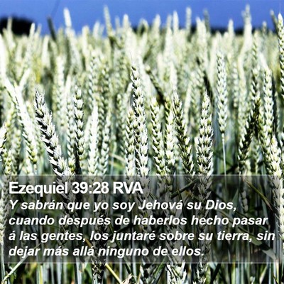 Ezequiel 39:28 RVA Bible Verse Image