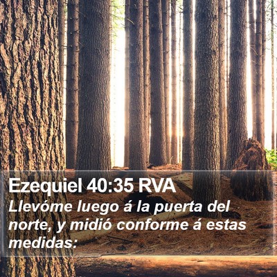 Ezequiel 40:35 RVA Bible Verse Image