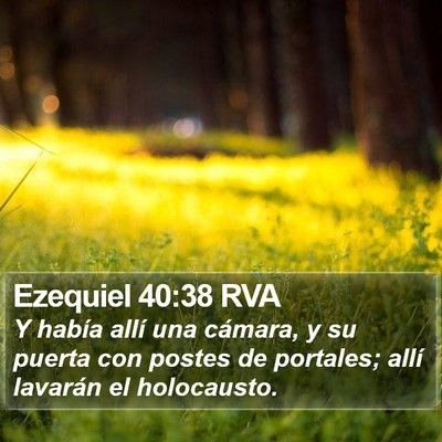 Ezequiel 40:38 RVA Bible Verse Image