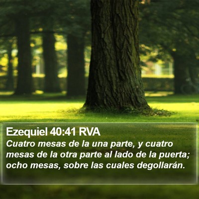 Ezequiel 40:41 RVA Bible Verse Image