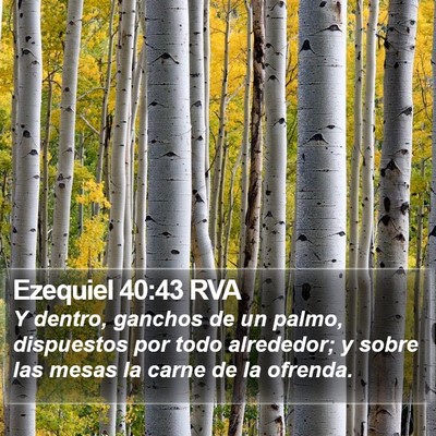 Ezequiel 40:43 RVA Bible Verse Image