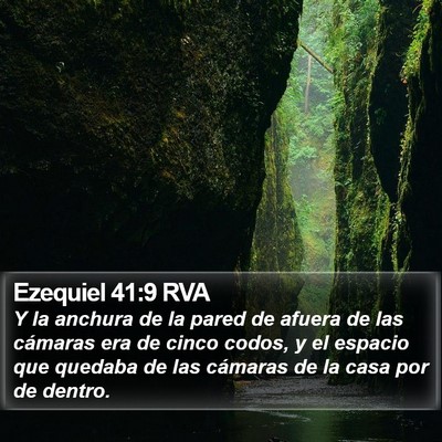 Ezequiel 41:9 RVA Bible Verse Image