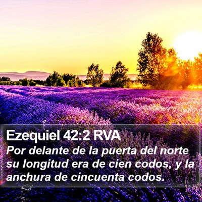 Ezequiel 42:2 RVA Bible Verse Image