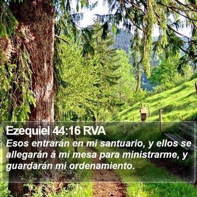 Ezequiel 44:16 RVA Bible Verse Image