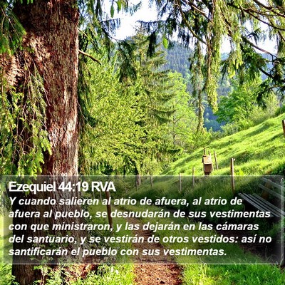 Ezequiel 44:19 RVA Bible Verse Image