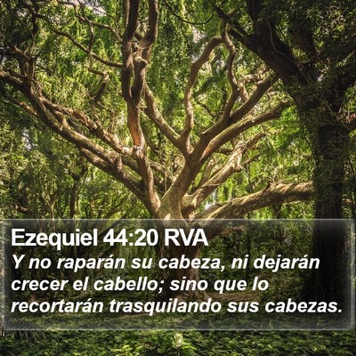 Ezequiel 44:20 RVA Bible Verse Image