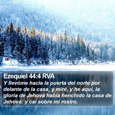 Ezequiel 44:4 RVA Bible Verse Image