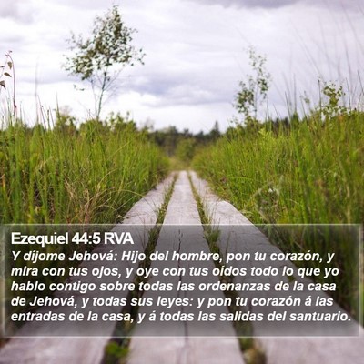 Ezequiel 44:5 RVA Bible Verse Image