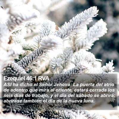 Ezequiel 46:1 RVA Bible Verse Image