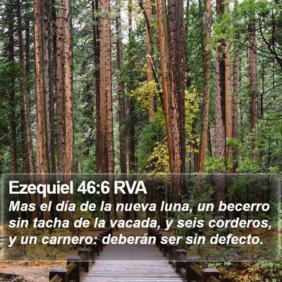 Ezequiel 46:6 RVA Bible Verse Image