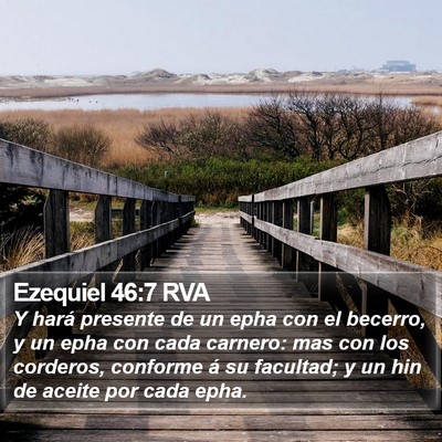 Ezequiel 46:7 RVA Bible Verse Image