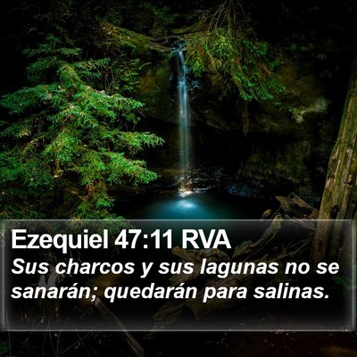 Ezequiel 47:11 RVA Bible Verse Image