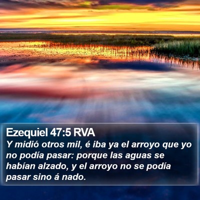 Ezequiel 47:5 RVA Bible Verse Image