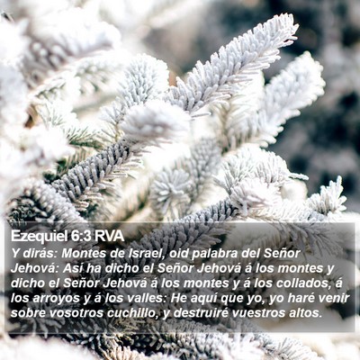 Ezequiel 6:3 RVA Bible Verse Image