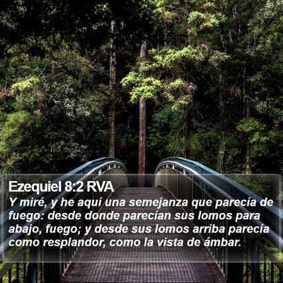 Ezequiel 8:2 RVA Bible Verse Image