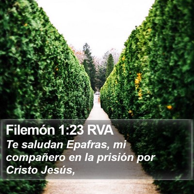 Filemón 1:23 RVA Bible Verse Image