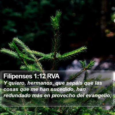 Filipenses 1:12 RVA Bible Verse Image