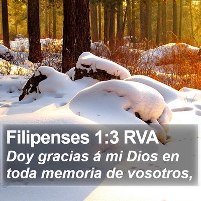 Filipenses 1:3 RVA Bible Verse Image