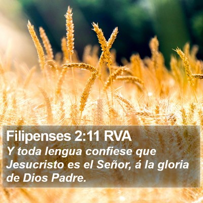 Filipenses 2:11 RVA Bible Verse Image