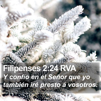 Filipenses 2:24 RVA Bible Verse Image