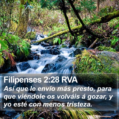 Filipenses 2:28 RVA Bible Verse Image