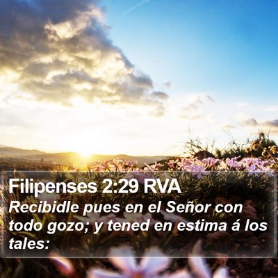Filipenses 2:29 RVA Bible Verse Image