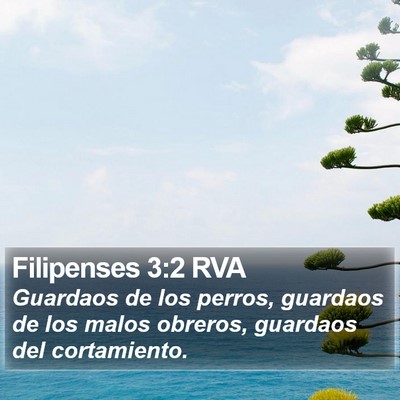 Filipenses 3:2 RVA Bible Verse Image