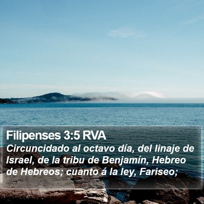 Filipenses 3:5 RVA Bible Verse Image