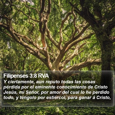 Filipenses 3:8 RVA Bible Verse Image