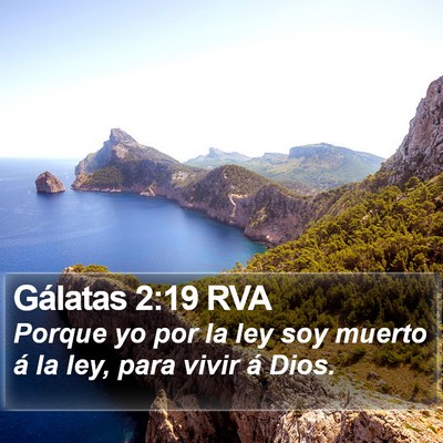 Gálatas 2:19 RVA Bible Verse Image
