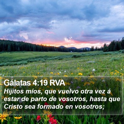 Gálatas 4:19 RVA Bible Verse Image