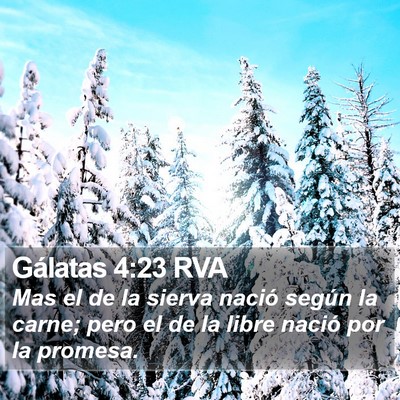 Gálatas 4:23 RVA Bible Verse Image