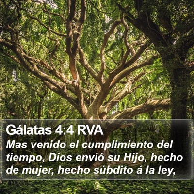 Gálatas 4:4 RVA Bible Verse Image