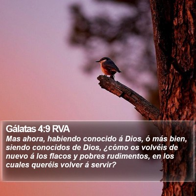 Gálatas 4:9 RVA Bible Verse Image