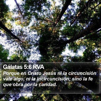 Gálatas 5:6 RVA Bible Verse Image