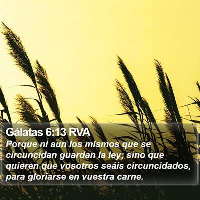 Gálatas 6:13 RVA Bible Verse Image