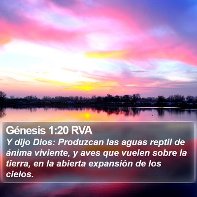 Génesis 1:20 RVA Bible Verse Image