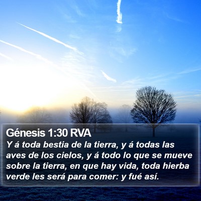 Génesis 1:30 RVA Bible Verse Image