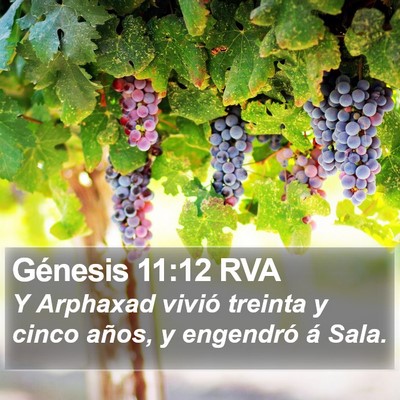 Génesis 11:12 RVA Bible Verse Image