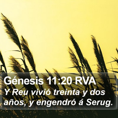 Génesis 11:20 RVA Bible Verse Image