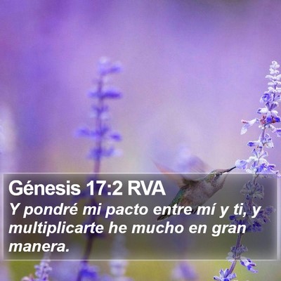 Génesis 17:2 RVA Bible Verse Image