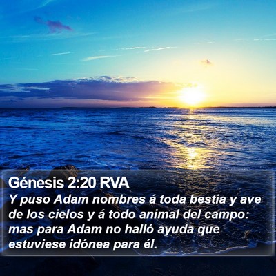Génesis 2:20 RVA Bible Verse Image