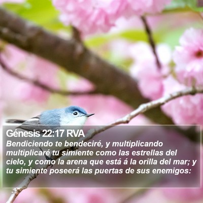 Génesis 22:17 RVA Bible Verse Image
