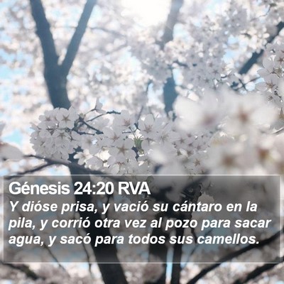 Génesis 24:20 RVA Bible Verse Image